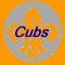 cubs button