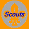 scouts button