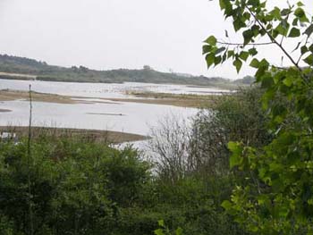 IMGP0139