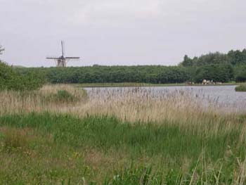 IMGP0147