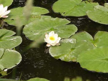 IMGP0151