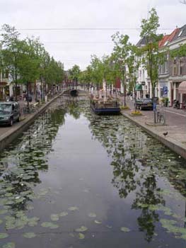 IMGP0156