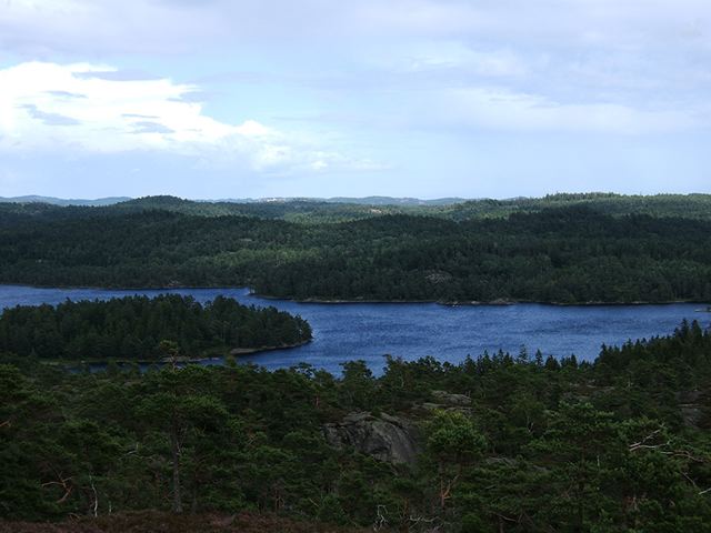 2007-4_052.jpg