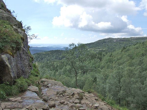 dscf0068.jpg