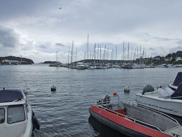 dscf0137.jpg