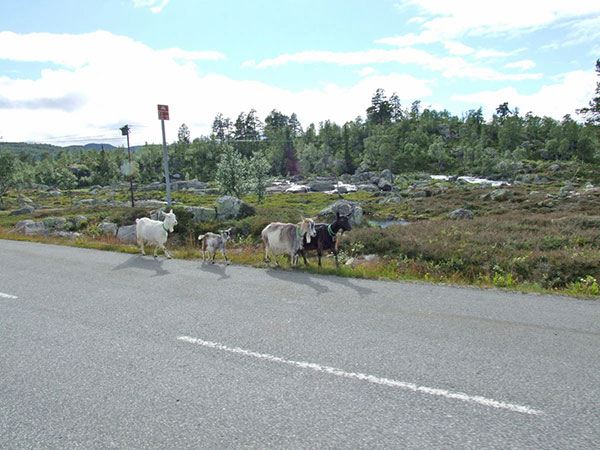 dscf0159.jpg