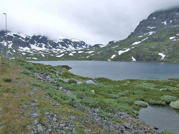 dscf0169.jpg