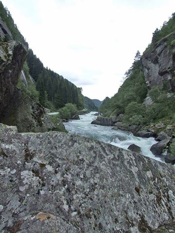 dscf0174.jpg