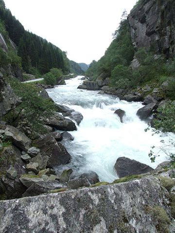 dscf0175.jpg