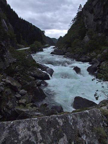 dscf0176.jpg