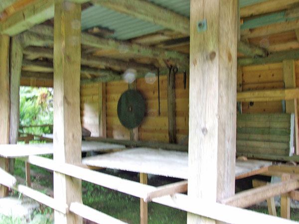 dscf0192.jpg