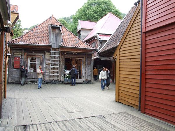 dscf0204.jpg