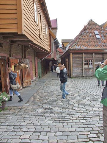 dscf0207.jpg