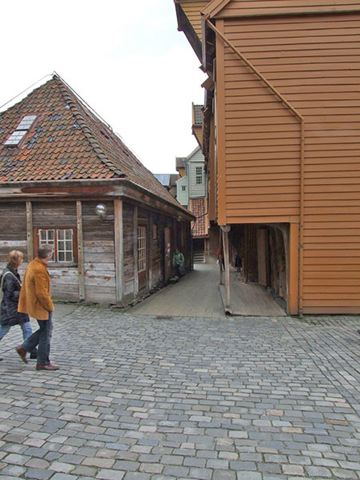 dscf0210.jpg